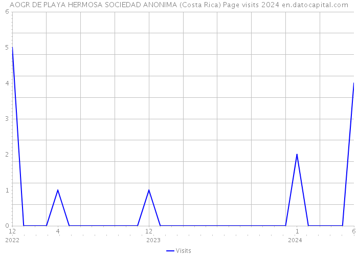 AOGR DE PLAYA HERMOSA SOCIEDAD ANONIMA (Costa Rica) Page visits 2024 