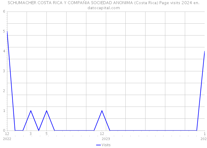 SCHUMACHER COSTA RICA Y COMPAŃIA SOCIEDAD ANONIMA (Costa Rica) Page visits 2024 
