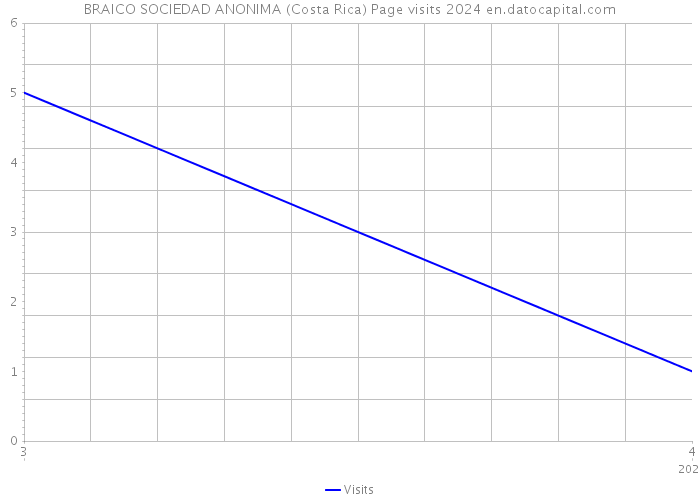 BRAICO SOCIEDAD ANONIMA (Costa Rica) Page visits 2024 