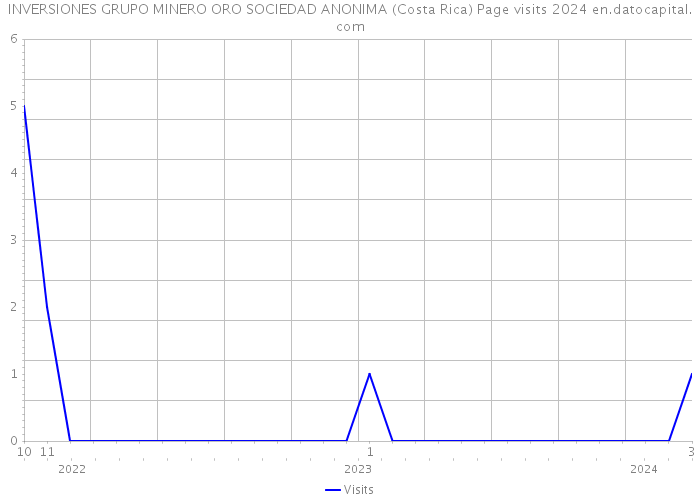 INVERSIONES GRUPO MINERO ORO SOCIEDAD ANONIMA (Costa Rica) Page visits 2024 