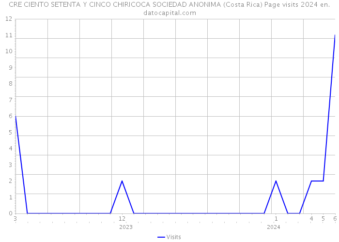 CRE CIENTO SETENTA Y CINCO CHIRICOCA SOCIEDAD ANONIMA (Costa Rica) Page visits 2024 