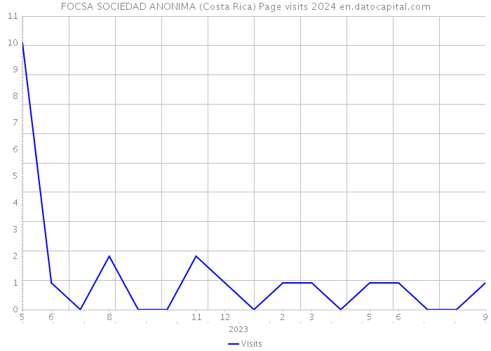 FOCSA SOCIEDAD ANONIMA (Costa Rica) Page visits 2024 