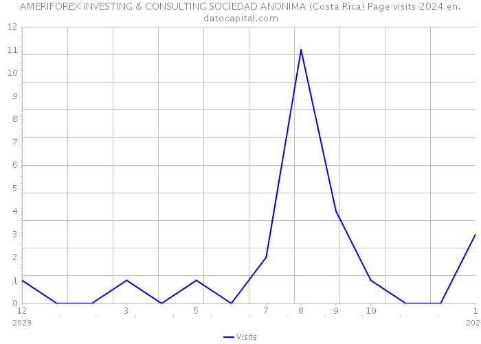 AMERIFOREX INVESTING & CONSULTING SOCIEDAD ANONIMA (Costa Rica) Page visits 2024 