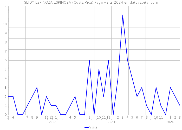 SEIDY ESPINOZA ESPINOZA (Costa Rica) Page visits 2024 