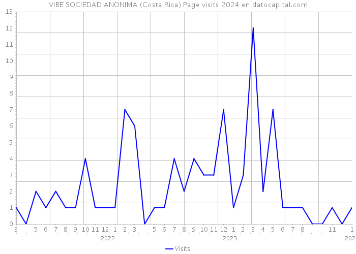 VIBE SOCIEDAD ANONIMA (Costa Rica) Page visits 2024 