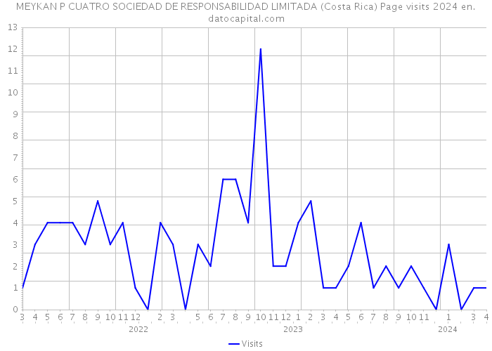 MEYKAN P CUATRO SOCIEDAD DE RESPONSABILIDAD LIMITADA (Costa Rica) Page visits 2024 