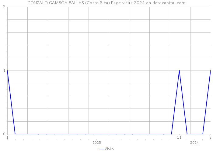 GONZALO GAMBOA FALLAS (Costa Rica) Page visits 2024 