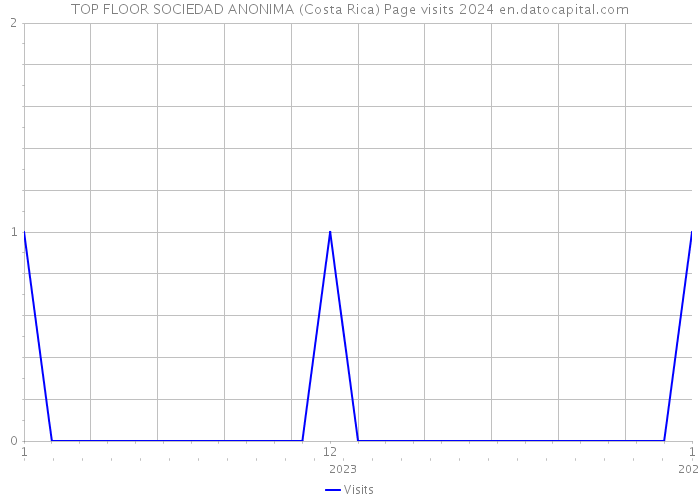 TOP FLOOR SOCIEDAD ANONIMA (Costa Rica) Page visits 2024 
