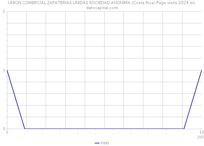 UNION COMERCIAL ZAPATERIAS UNIDAS SOCIEDAD ANONIMA (Costa Rica) Page visits 2024 