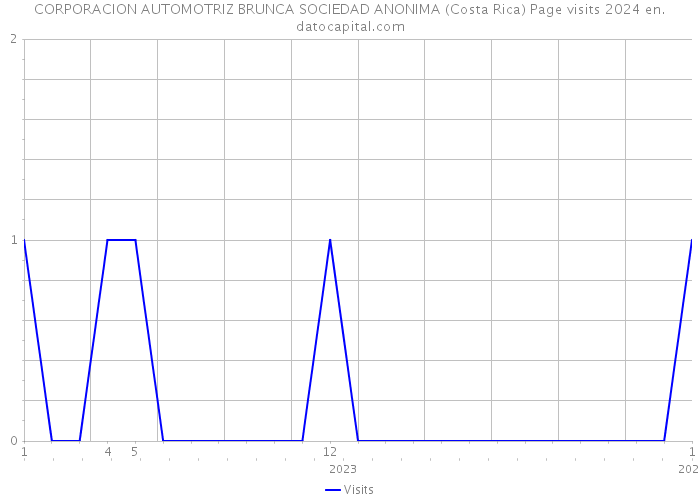 CORPORACION AUTOMOTRIZ BRUNCA SOCIEDAD ANONIMA (Costa Rica) Page visits 2024 