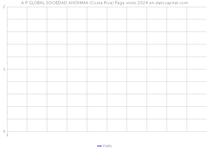 A P GLOBAL SOCIEDAD ANONIMA (Costa Rica) Page visits 2024 