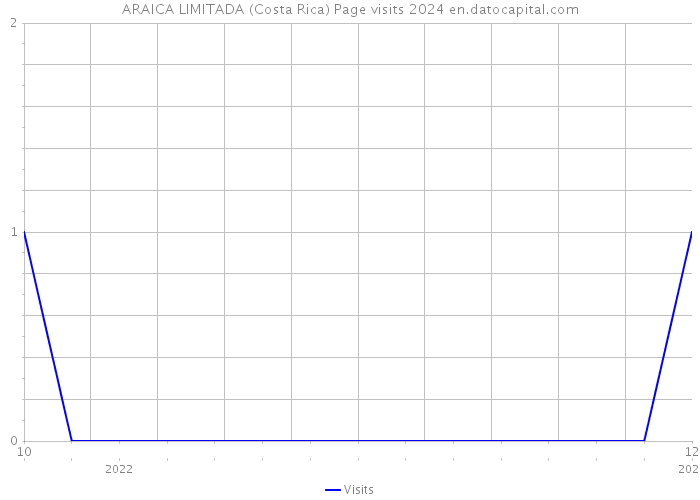 ARAICA LIMITADA (Costa Rica) Page visits 2024 