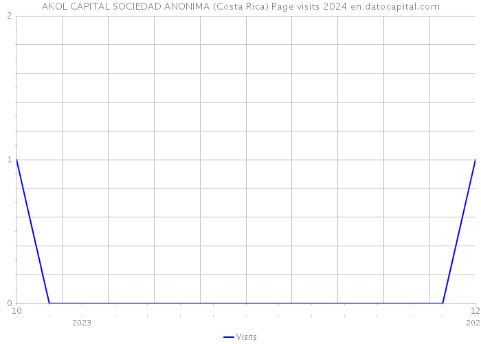 AKOL CAPITAL SOCIEDAD ANONIMA (Costa Rica) Page visits 2024 