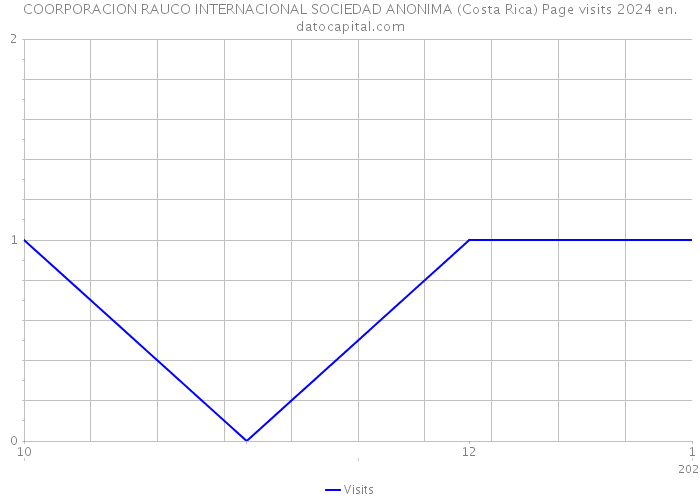 COORPORACION RAUCO INTERNACIONAL SOCIEDAD ANONIMA (Costa Rica) Page visits 2024 