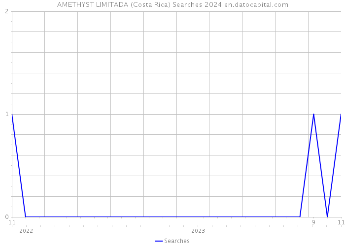 AMETHYST LIMITADA (Costa Rica) Searches 2024 