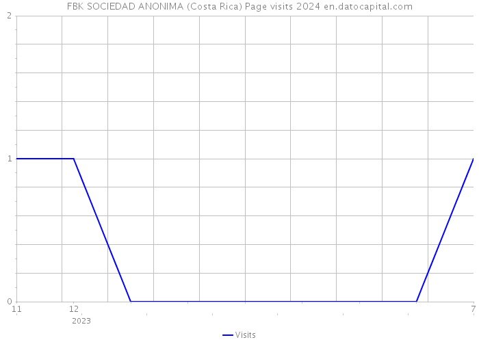 FBK SOCIEDAD ANONIMA (Costa Rica) Page visits 2024 