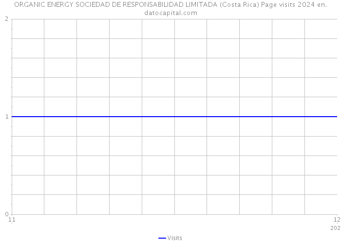 ORGANIC ENERGY SOCIEDAD DE RESPONSABILIDAD LIMITADA (Costa Rica) Page visits 2024 