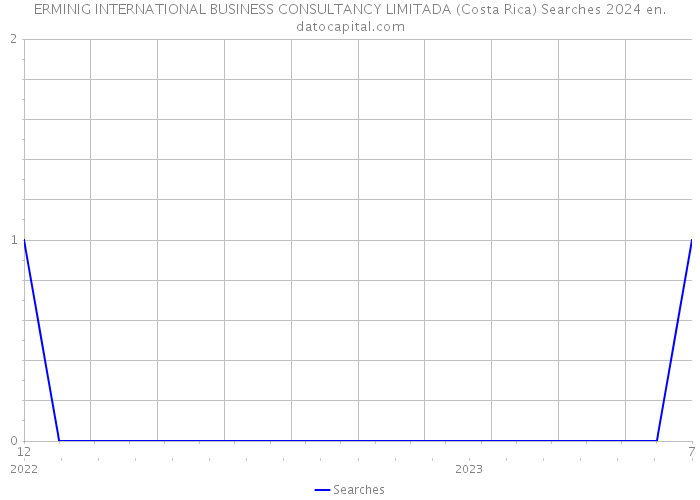 ERMINIG INTERNATIONAL BUSINESS CONSULTANCY LIMITADA (Costa Rica) Searches 2024 