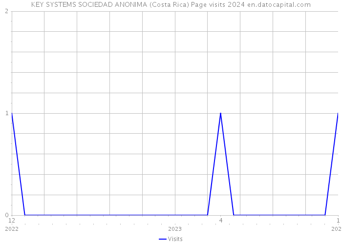 KEY SYSTEMS SOCIEDAD ANONIMA (Costa Rica) Page visits 2024 