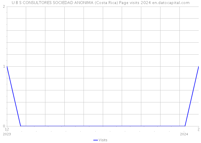 U B S CONSULTORES SOCIEDAD ANONIMA (Costa Rica) Page visits 2024 