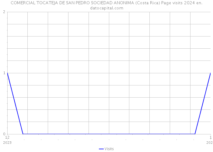 COMERCIAL TOCATEJA DE SAN PEDRO SOCIEDAD ANONIMA (Costa Rica) Page visits 2024 