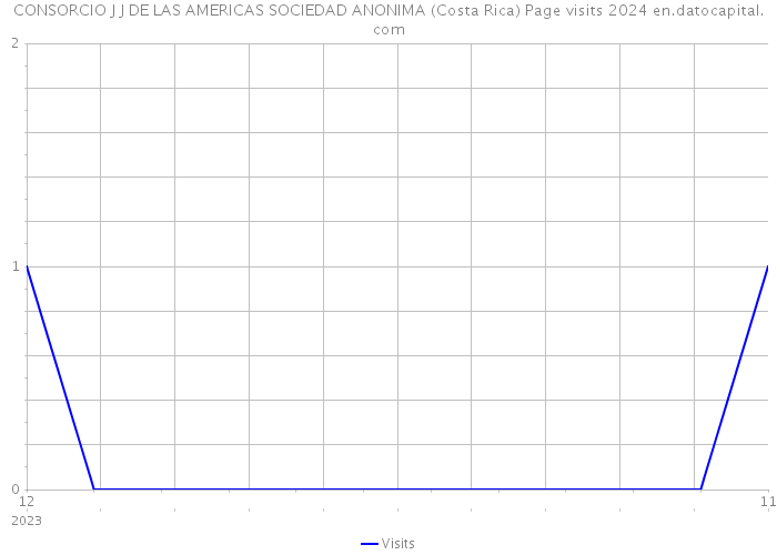 CONSORCIO J J DE LAS AMERICAS SOCIEDAD ANONIMA (Costa Rica) Page visits 2024 