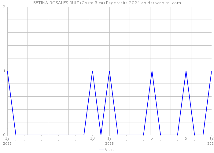BETINA ROSALES RUIZ (Costa Rica) Page visits 2024 