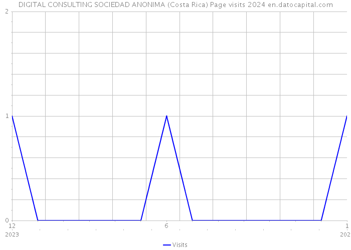 DIGITAL CONSULTING SOCIEDAD ANONIMA (Costa Rica) Page visits 2024 