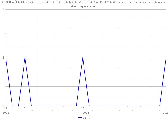 COMPAŃIA MINERA BRUNCAS DE COSTA RICA SOCIEDAD ANONIMA (Costa Rica) Page visits 2024 