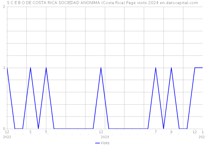 S C E B O DE COSTA RICA SOCIEDAD ANONIMA (Costa Rica) Page visits 2024 