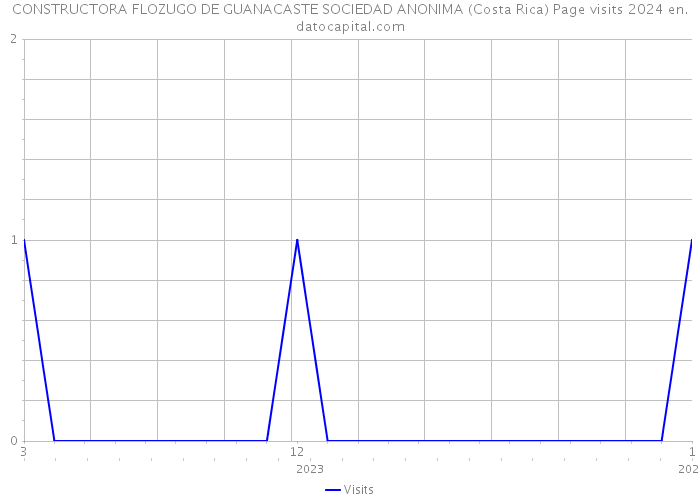 CONSTRUCTORA FLOZUGO DE GUANACASTE SOCIEDAD ANONIMA (Costa Rica) Page visits 2024 