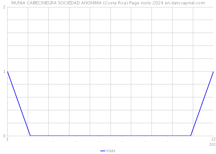 MUNIA CABECINEGRA SOCIEDAD ANONIMA (Costa Rica) Page visits 2024 