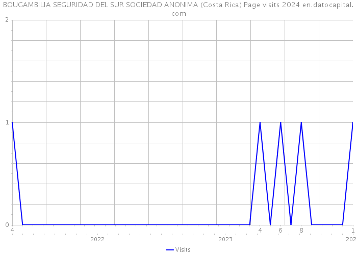 BOUGAMBILIA SEGURIDAD DEL SUR SOCIEDAD ANONIMA (Costa Rica) Page visits 2024 