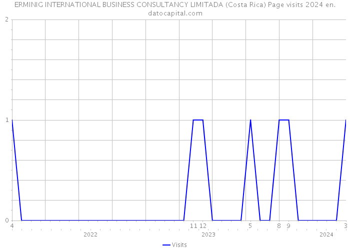 ERMINIG INTERNATIONAL BUSINESS CONSULTANCY LIMITADA (Costa Rica) Page visits 2024 