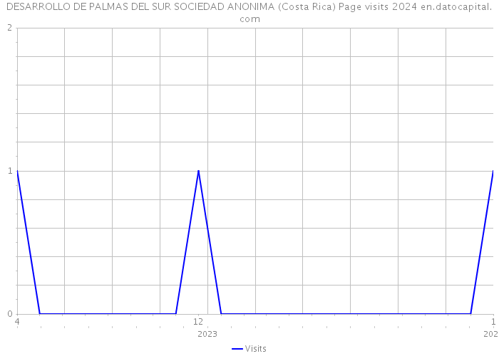 DESARROLLO DE PALMAS DEL SUR SOCIEDAD ANONIMA (Costa Rica) Page visits 2024 