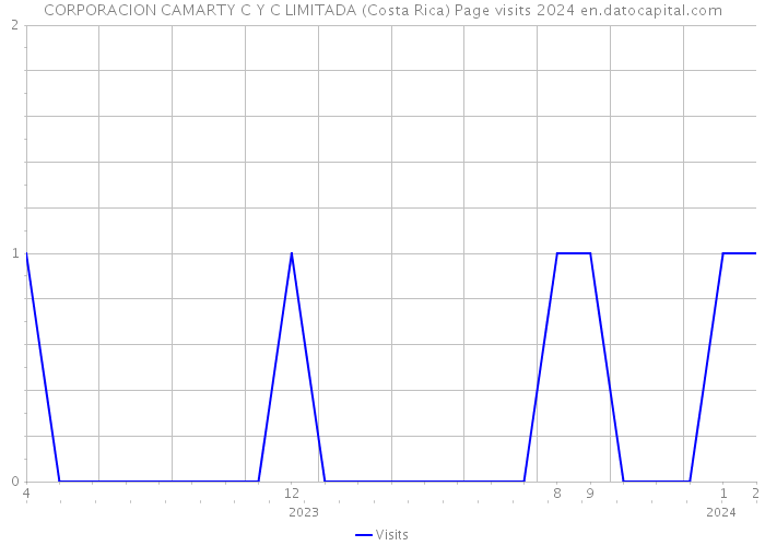 CORPORACION CAMARTY C Y C LIMITADA (Costa Rica) Page visits 2024 