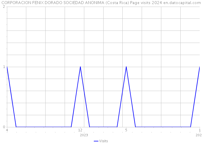 CORPORACION FENIX DORADO SOCIEDAD ANONIMA (Costa Rica) Page visits 2024 