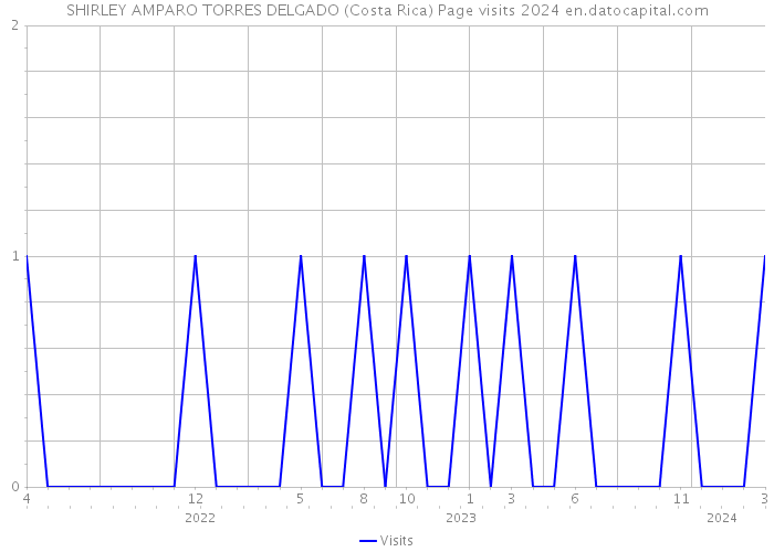 SHIRLEY AMPARO TORRES DELGADO (Costa Rica) Page visits 2024 