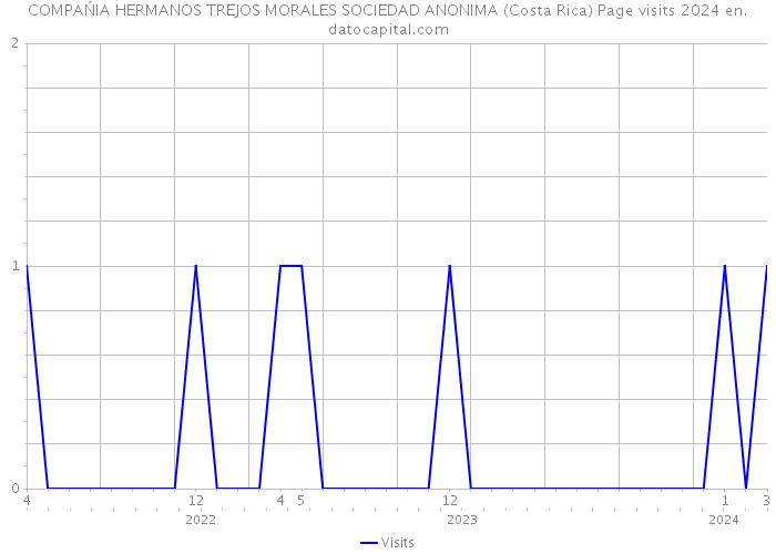 COMPAŃIA HERMANOS TREJOS MORALES SOCIEDAD ANONIMA (Costa Rica) Page visits 2024 