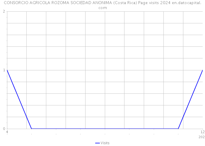 CONSORCIO AGRICOLA ROZOMA SOCIEDAD ANONIMA (Costa Rica) Page visits 2024 
