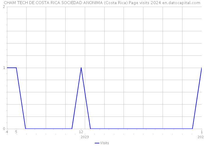CHAM TECH DE COSTA RICA SOCIEDAD ANONIMA (Costa Rica) Page visits 2024 