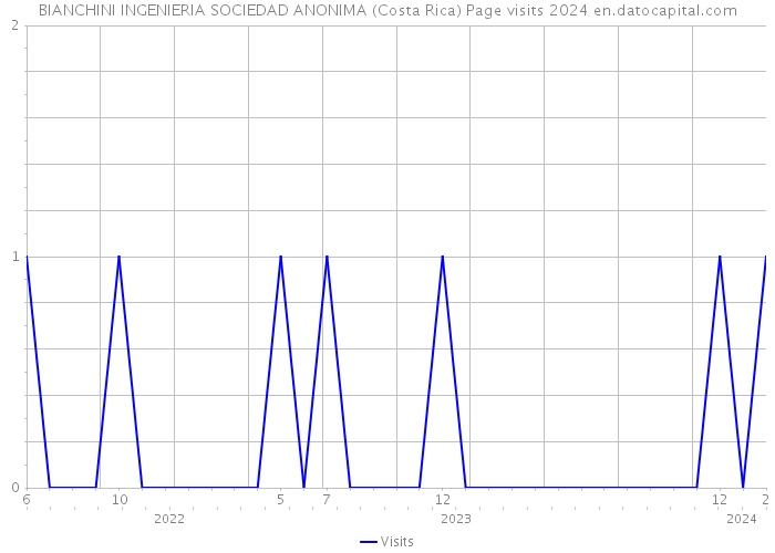 BIANCHINI INGENIERIA SOCIEDAD ANONIMA (Costa Rica) Page visits 2024 