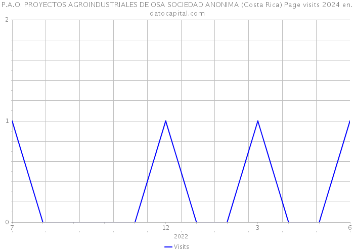 P.A.O. PROYECTOS AGROINDUSTRIALES DE OSA SOCIEDAD ANONIMA (Costa Rica) Page visits 2024 