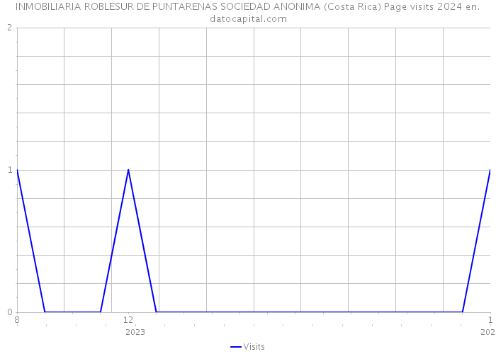 INMOBILIARIA ROBLESUR DE PUNTARENAS SOCIEDAD ANONIMA (Costa Rica) Page visits 2024 