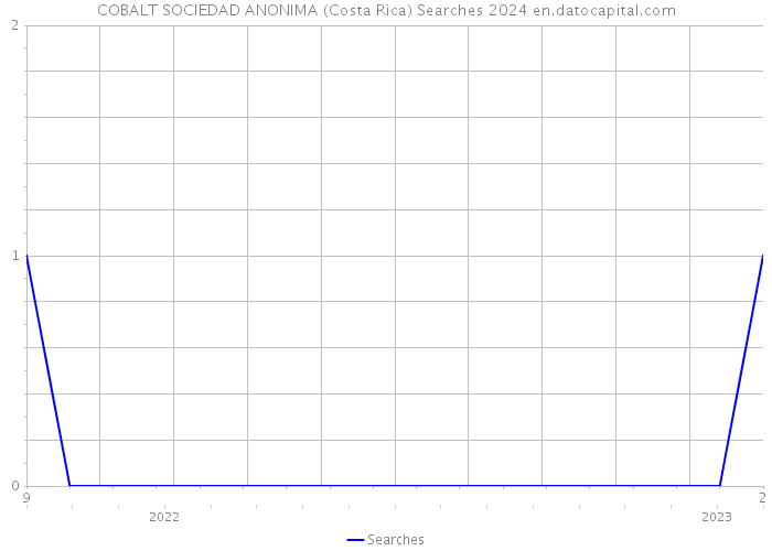 COBALT SOCIEDAD ANONIMA (Costa Rica) Searches 2024 