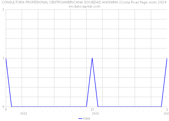 CONSULTORA PROFESIONAL CENTROAMERICANA SOCIEDAD ANONIMA (Costa Rica) Page visits 2024 