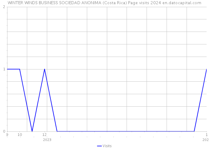 WINTER WINDS BUSINESS SOCIEDAD ANONIMA (Costa Rica) Page visits 2024 