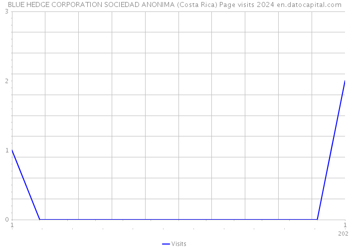 BLUE HEDGE CORPORATION SOCIEDAD ANONIMA (Costa Rica) Page visits 2024 