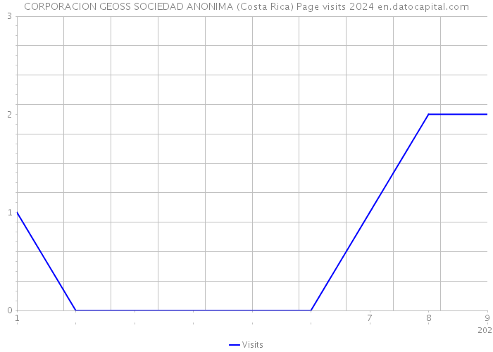 CORPORACION GEOSS SOCIEDAD ANONIMA (Costa Rica) Page visits 2024 