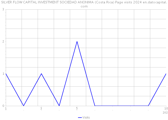 SILVER FLOW CAPITAL INVESTMENT SOCIEDAD ANONIMA (Costa Rica) Page visits 2024 